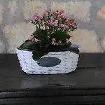 Rifugio Della Luna Couette-café