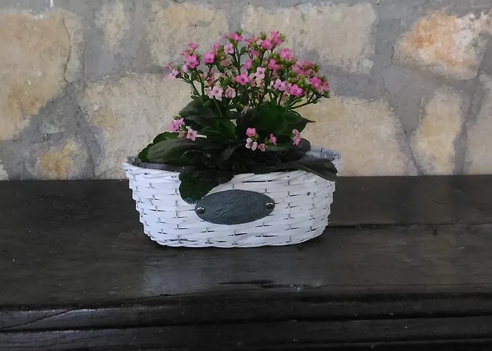 Rifugio Della Luna B&B